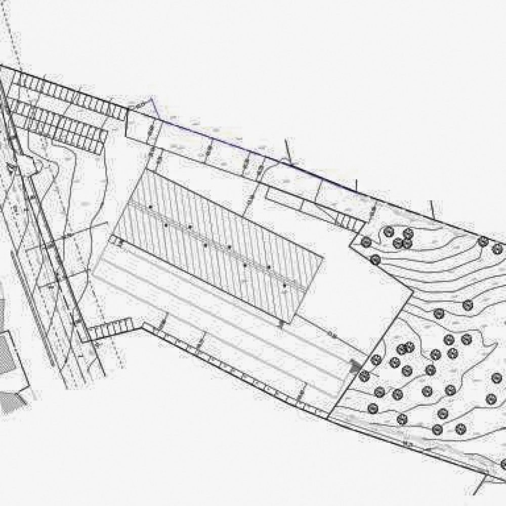 Arm Planta_00